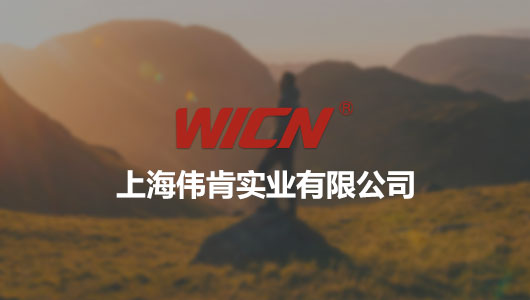 上海伟肯实业有限公司